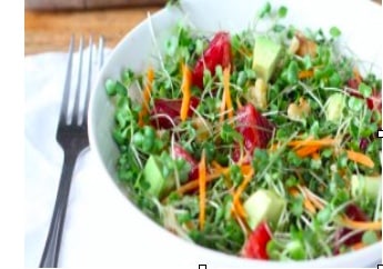 Season's Best Microgreen  Salad