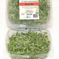 Microgreens zesty greens