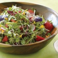 microgreens salad