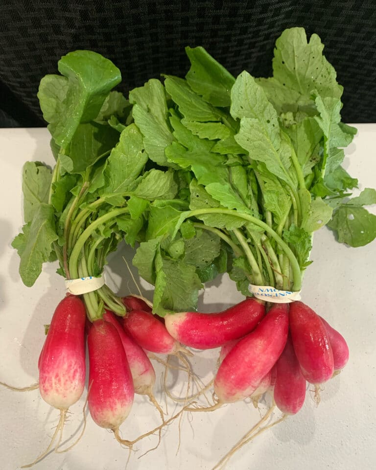 4 Things You Can Do With Radish Tops The Greensted, LLC