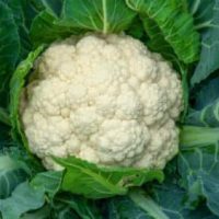 Cauliflower