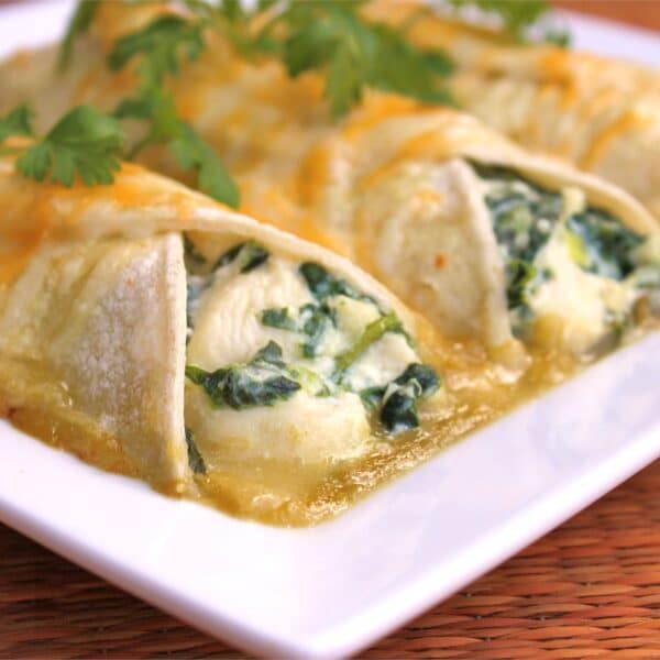 spinach and microgreen enchiladas