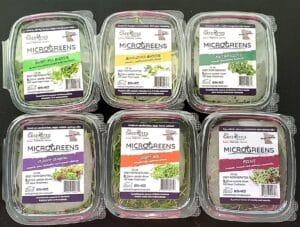Microgreens available at the Farm Store or Local Grocers